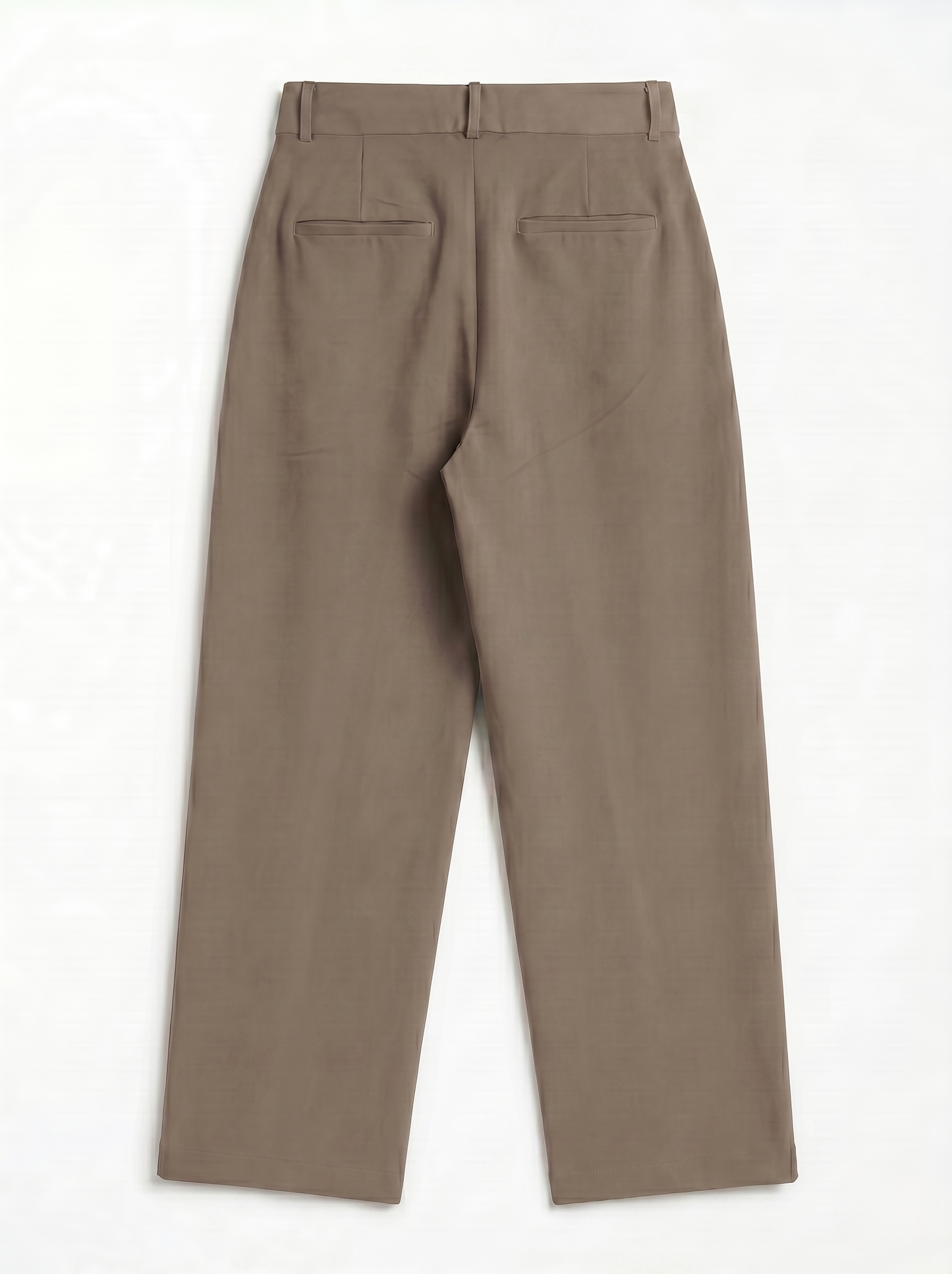 Pleated Wide Leg Pants/1006-203