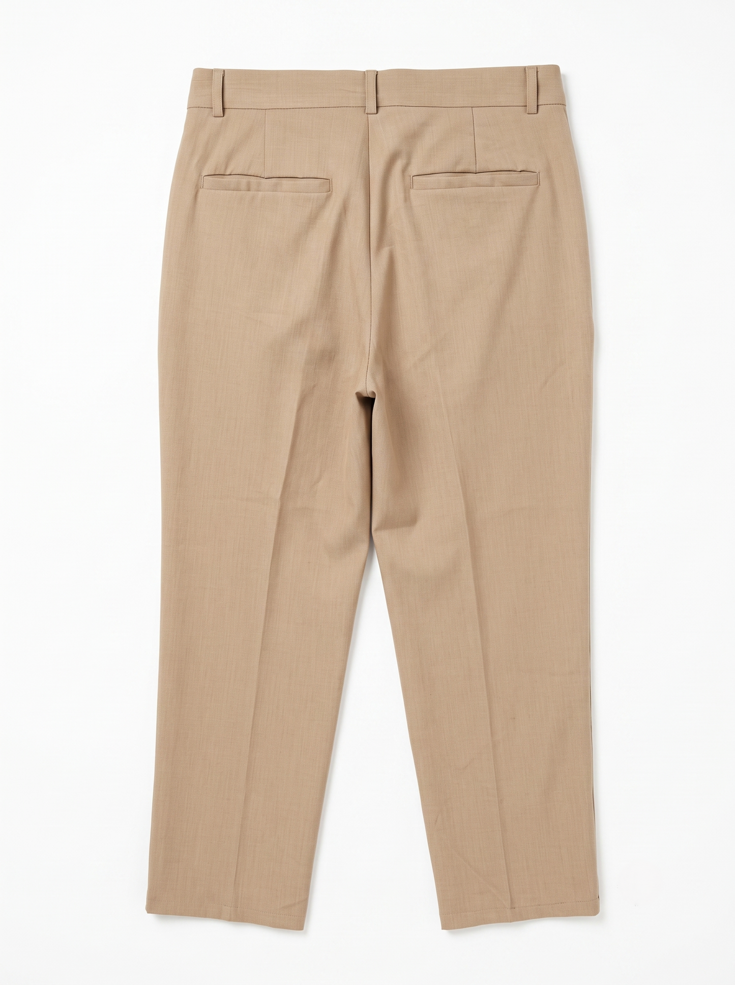 Pleated Wide Leg Pants Beige/1037-203-13